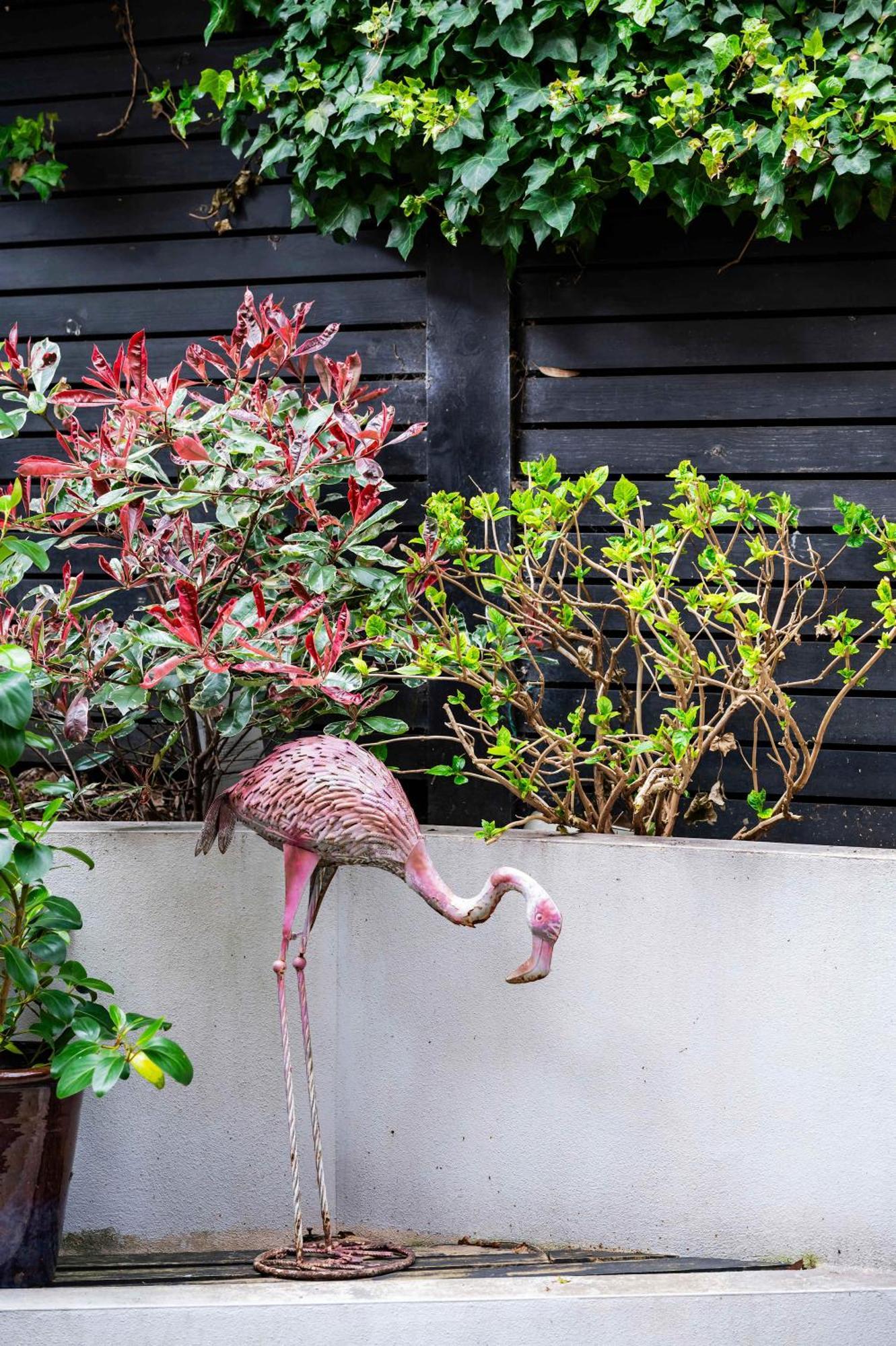 The Bohemian Rhapsody, Hampstead - By Out Of Office Lifestyle Londra